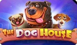Goldzino – The Dog House